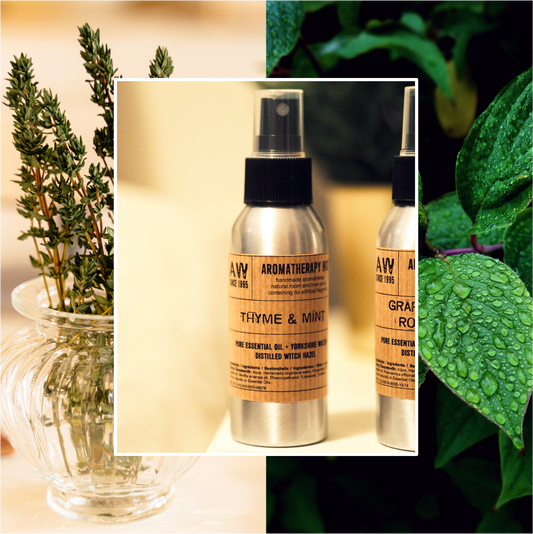 ENERGIE- Brume d'Huiles Essentielles Textiles & Intérieur 100ml : Thym & Menthe