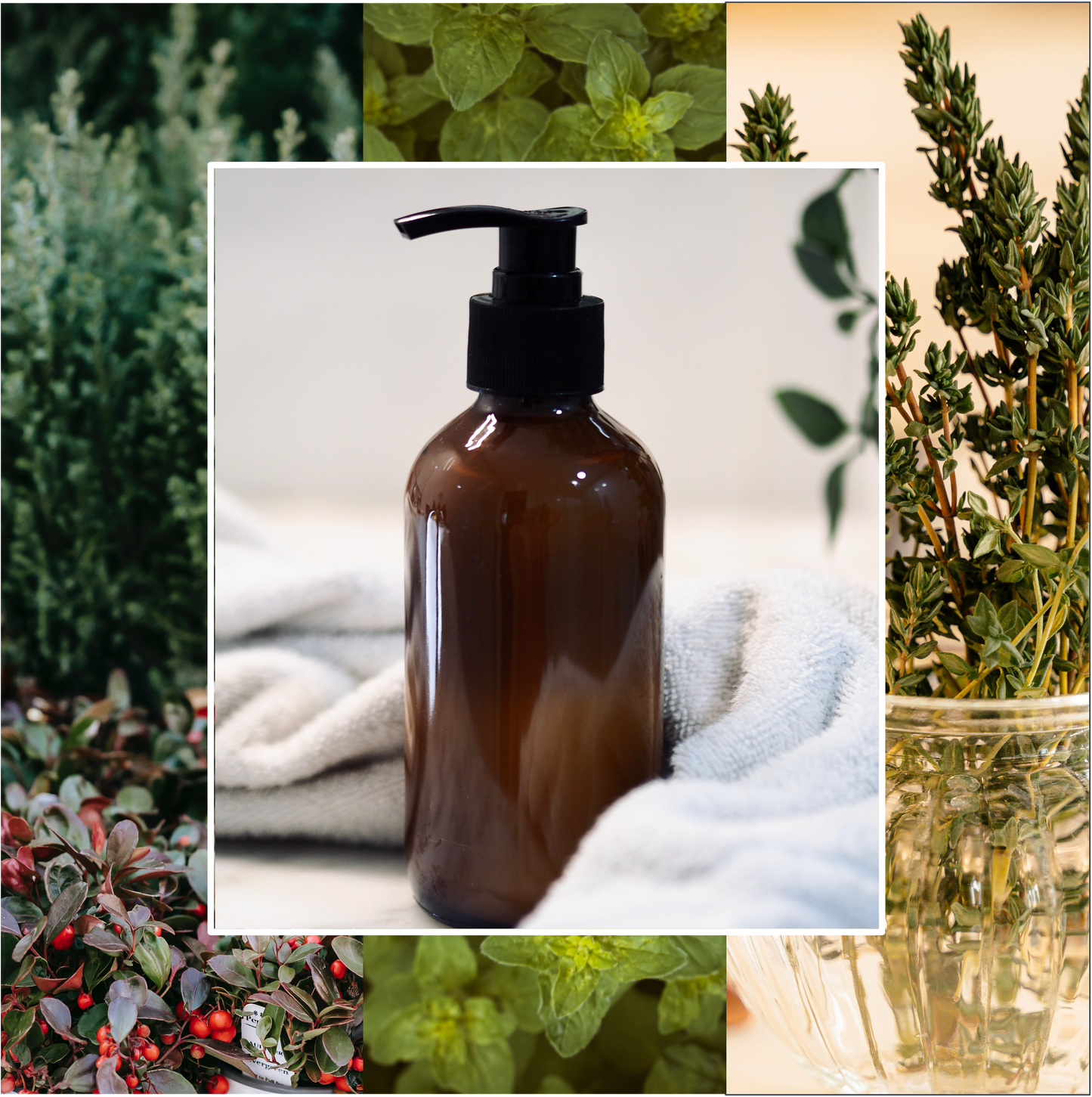 Lait Vivifiant Mains & Corps 250ml : Gaulthérie, Origan & Thym