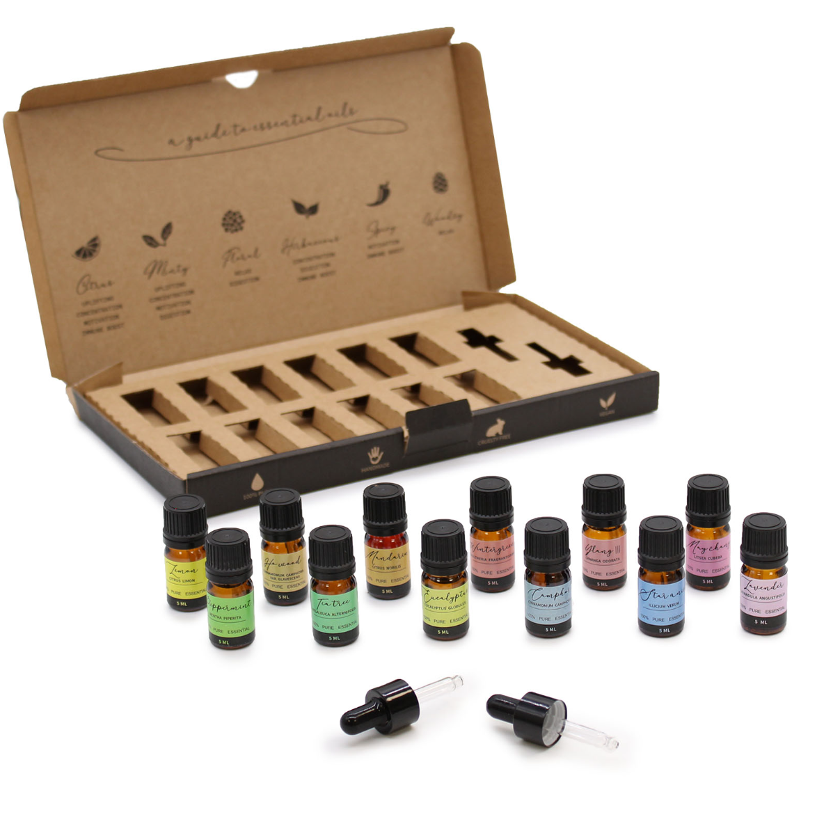 Aromatherapy Starter Pack - 12 Top Essential Oils