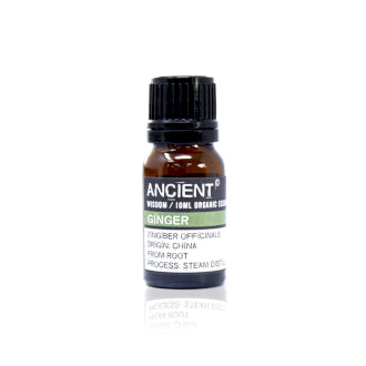 Organic essential oil 10 ml - Ginger