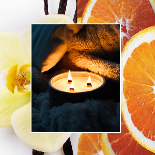 Grande bougie parfumée à la cire de soja - 3 mèches : Vanille Pilée & Orange