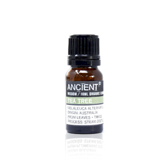 Organic essential oil 10 ml - Tea Tree