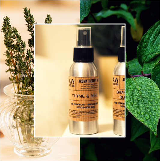 100ml Essential Oil Mist - Thyme and Mint